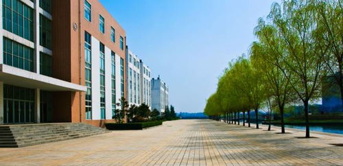 洛阳这所学校杀入全国顶尖大学200强 火了