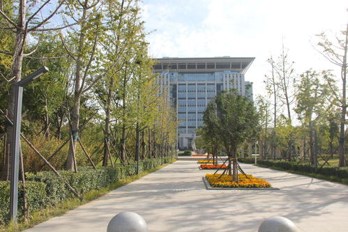 河南财经政法大学2020年成人高考招生报名简章及报名流程